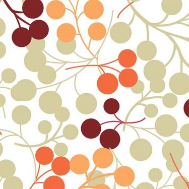 Berries-Orange-Roller-Blind