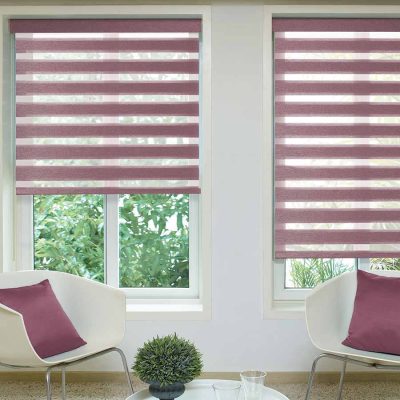 Reagan-Berry-Duplex-Blinds